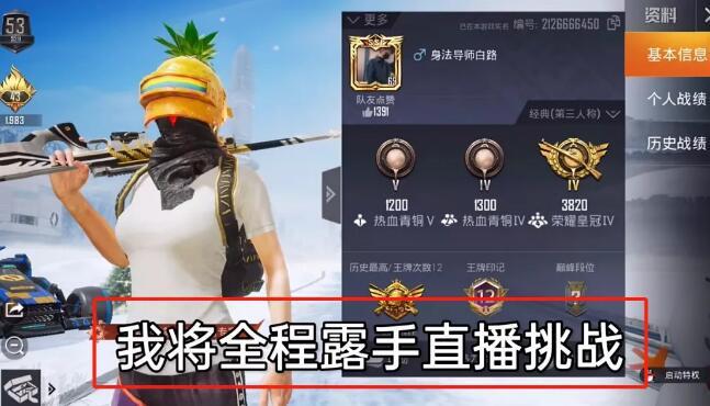 和平精英【XO内核】辅助